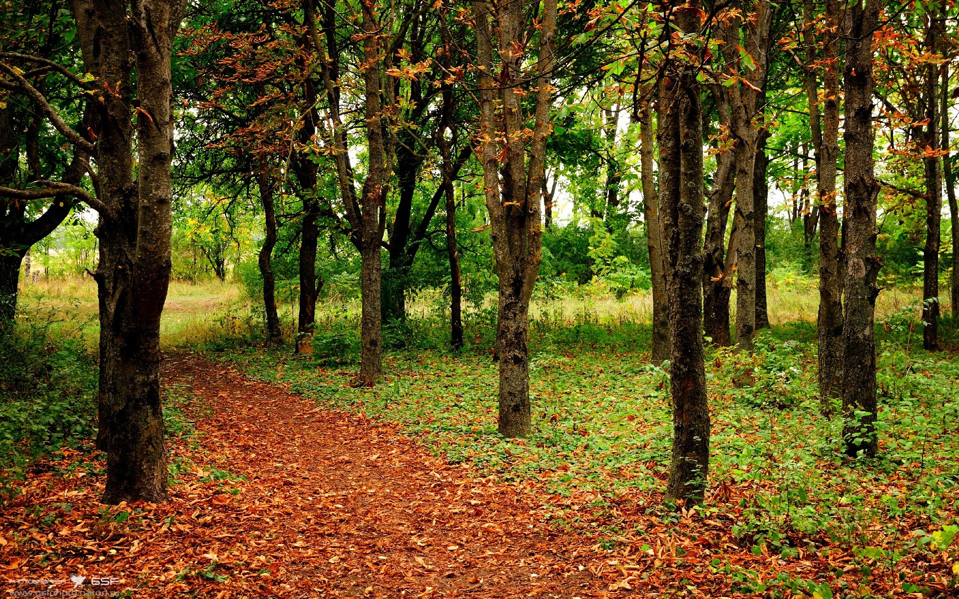 火箭战术体系如精密棋盘，布克化身执剑者刺穿爵士心脏