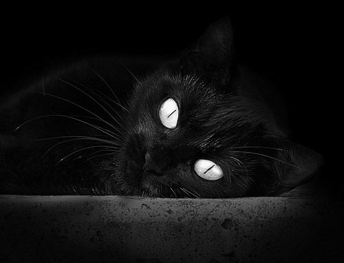 封神之夜，当爱德华兹在年度焦点之战的临界点上拒绝颤抖