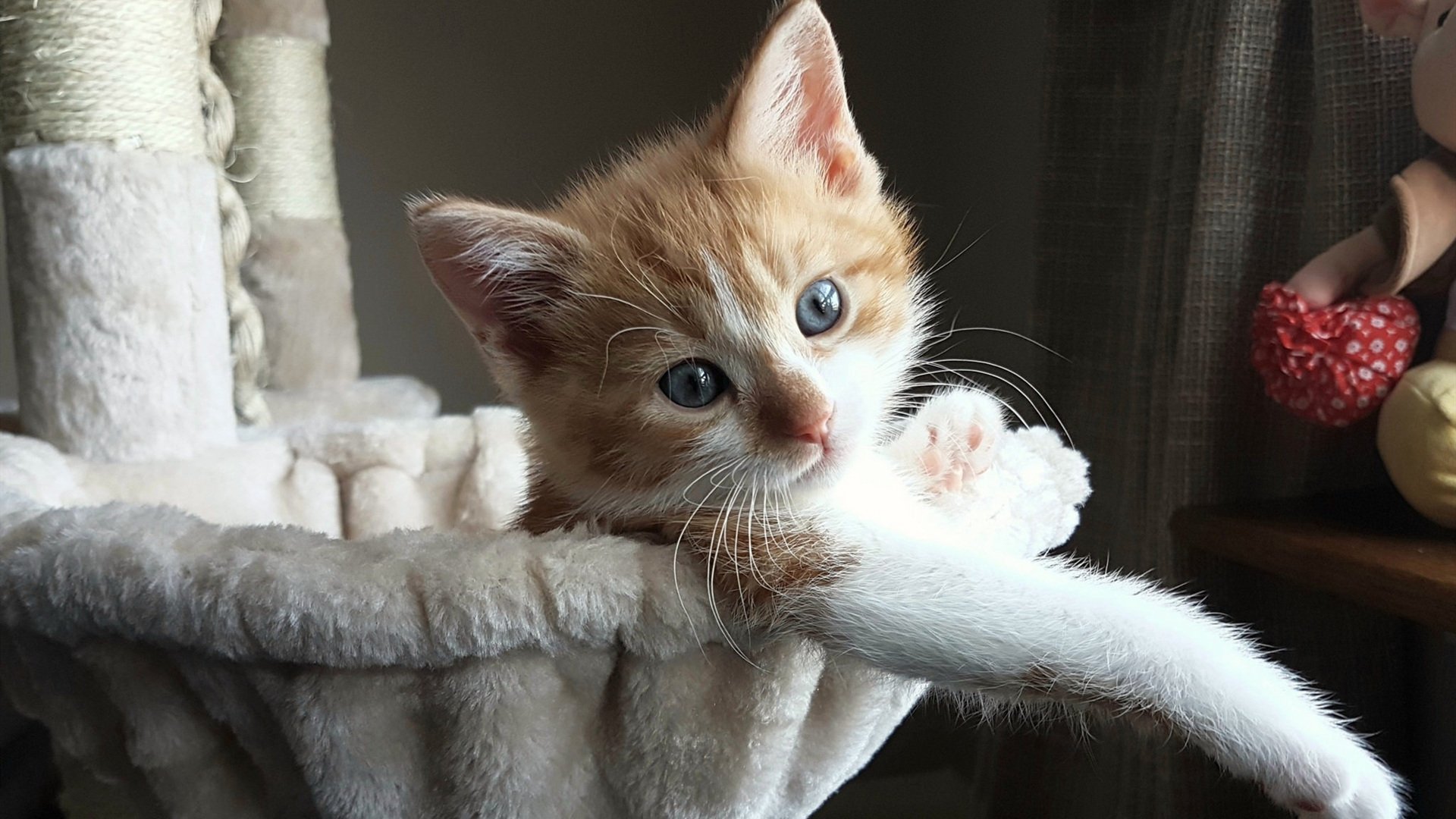 塞维利亚冲垮里昂，皮克的全场统治秀，一场战术与意志的碾压