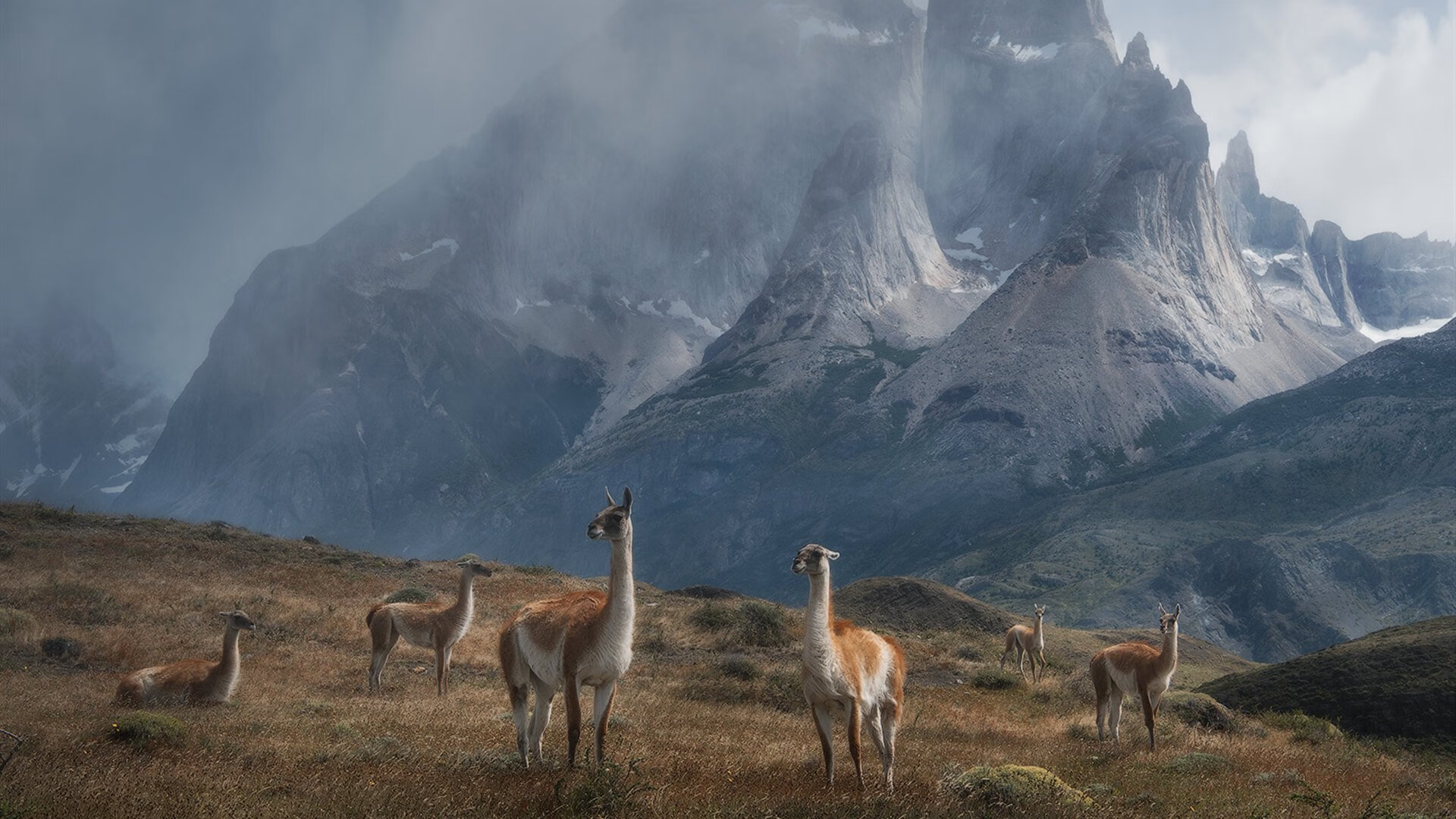 唯一性双星，葡萄牙决胜突尼斯之荣耀，马丁内利英超接管之战神