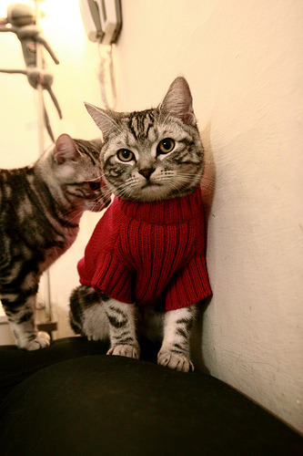 震耳欲聋的回敬,当质疑声最大时,哈登用一场非典型胜利为自己加冕