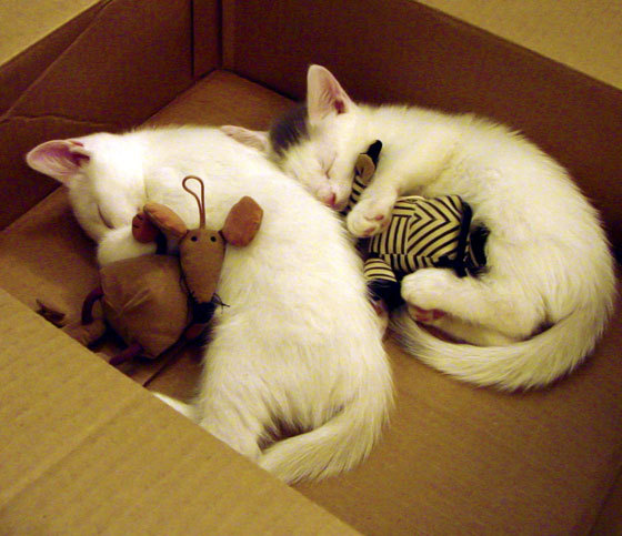 慈善夜绝杀，当梅西意外成为尤文曼联鏖战的关键先生