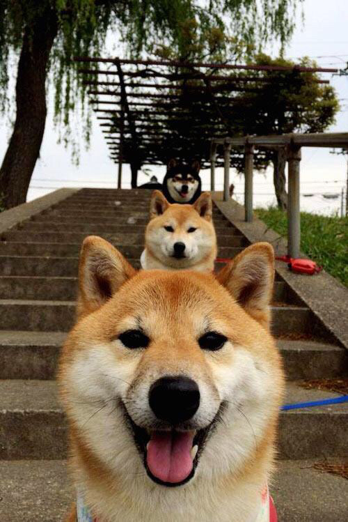 篮球宇宙的共振，当广厦收割魔术，马克西正雕刻冠军的雏形