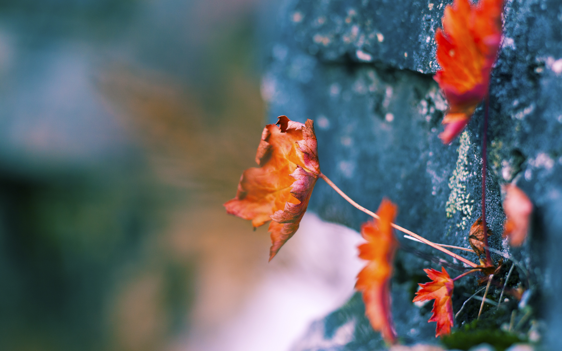 足球场上的NBA之夜,佩德里冠军级表现的隐喻