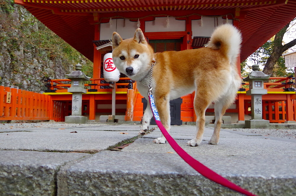 绿茵与硬木，欧冠的宿命之夜与迈阿密热火的冰冷碾压