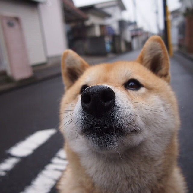 双线叙事，当摩纳哥用战术一波带走美国，厄德高在伯纳乌完成接管