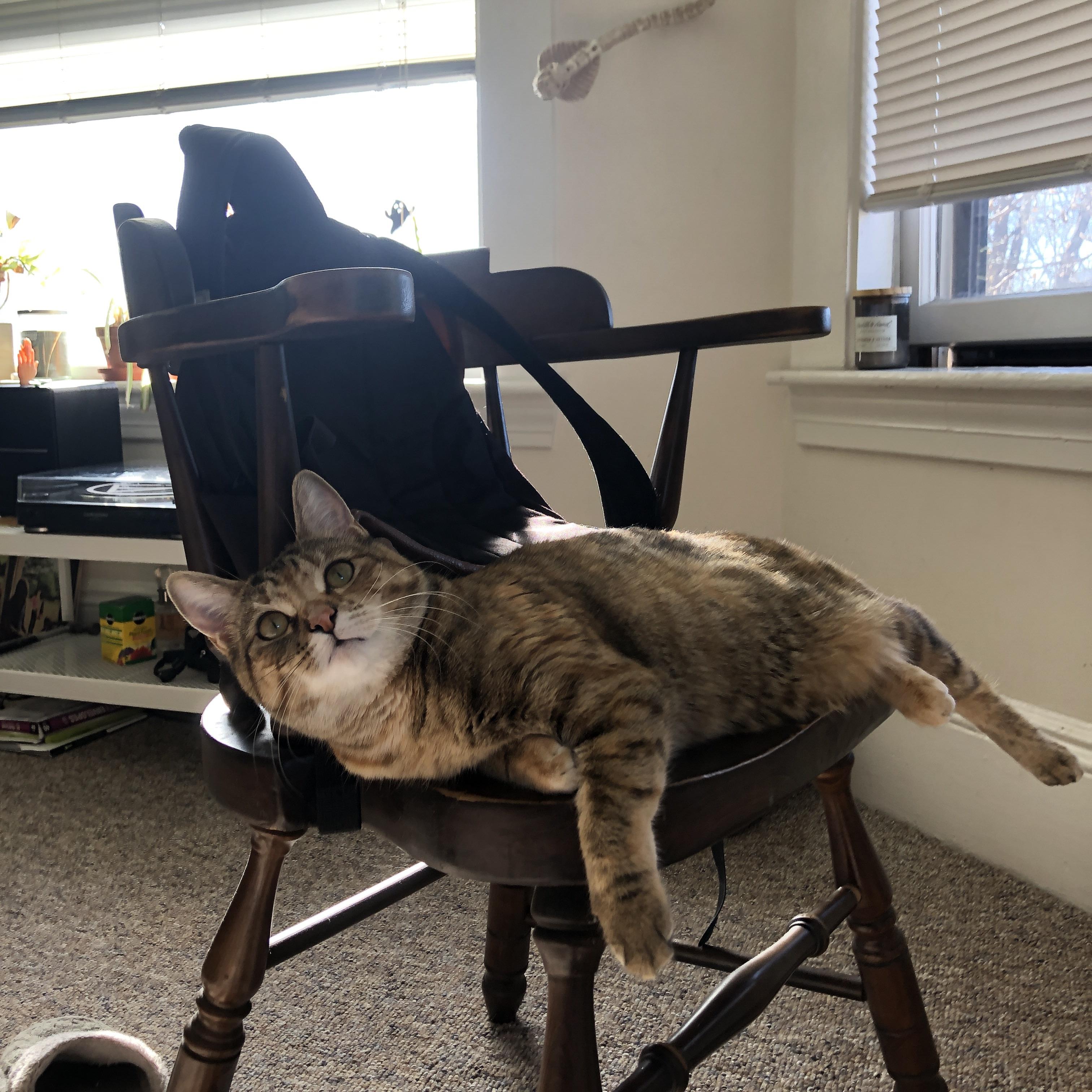 草原牛仔掀翻巴黎铁塔，布鲁诺·费尔南德斯如何化身乌拉圭关键先生