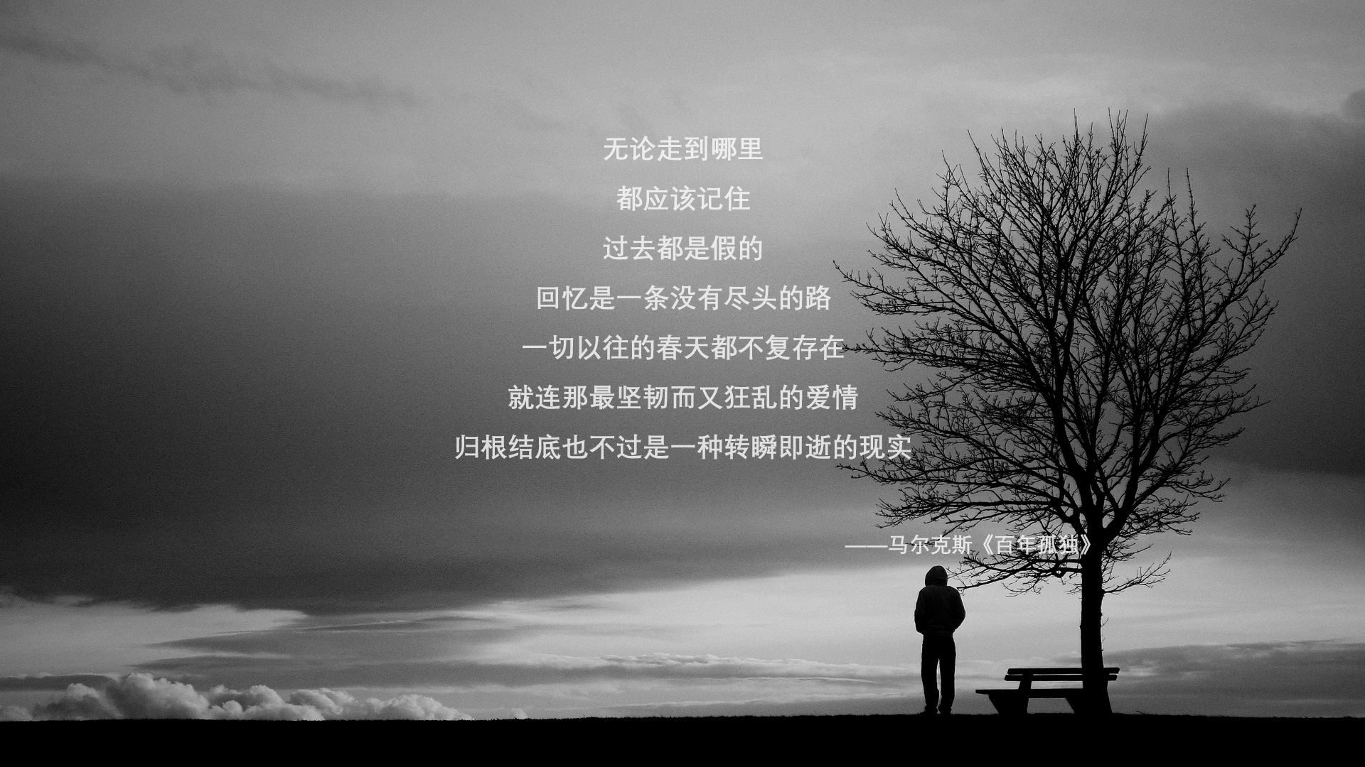 钢铁牢笼与魔术师，湖人如何用体系锁死浙江，东契奇又如何以一己之力撕破它