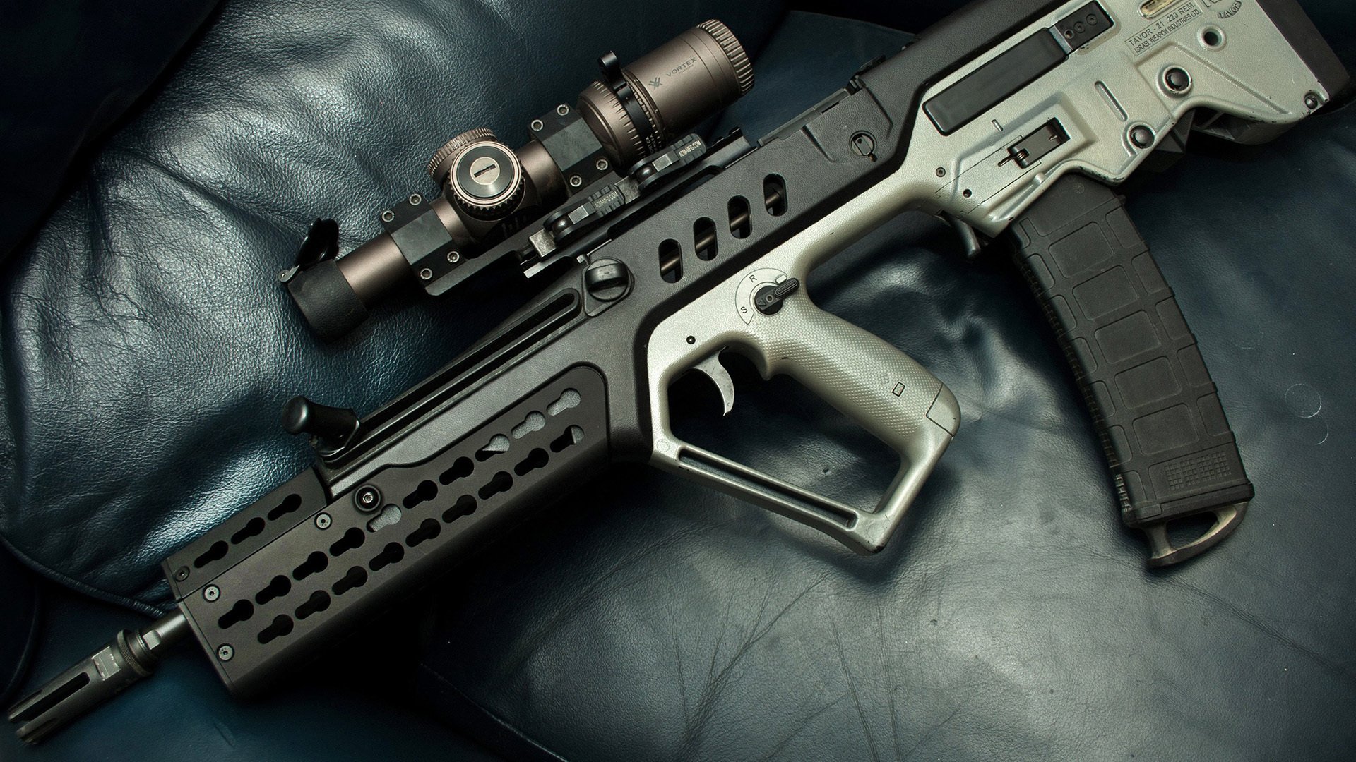 金州勇士梦幻收割广东队，塔图姆跨联盟绝杀封神