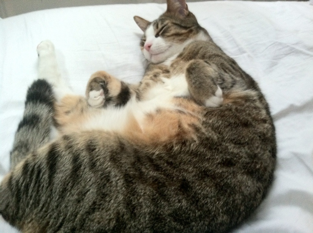 奠基石，斯通斯冠军级表现助乌拉圭力克乌克兰