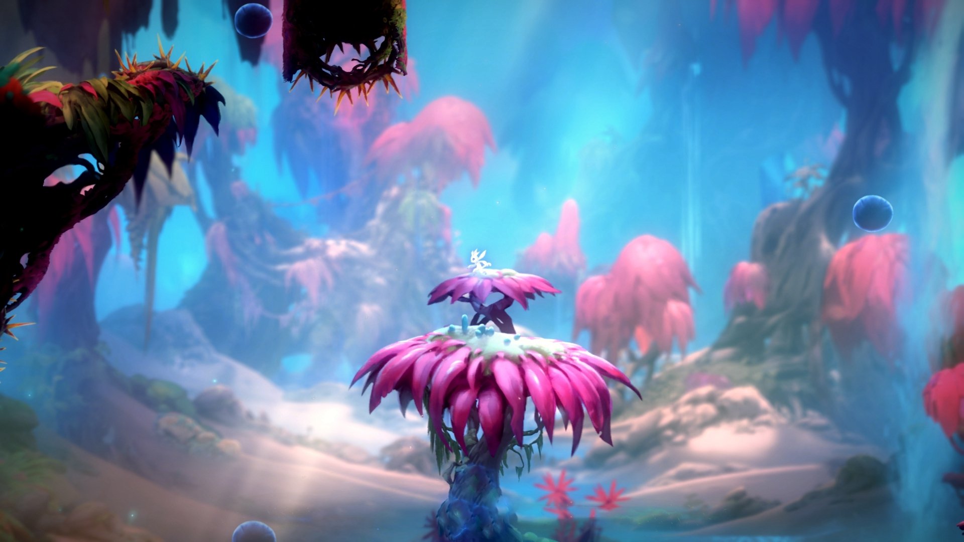 绝境钟响时，迪马利亚的圣光与荷兰的暗影绞杀