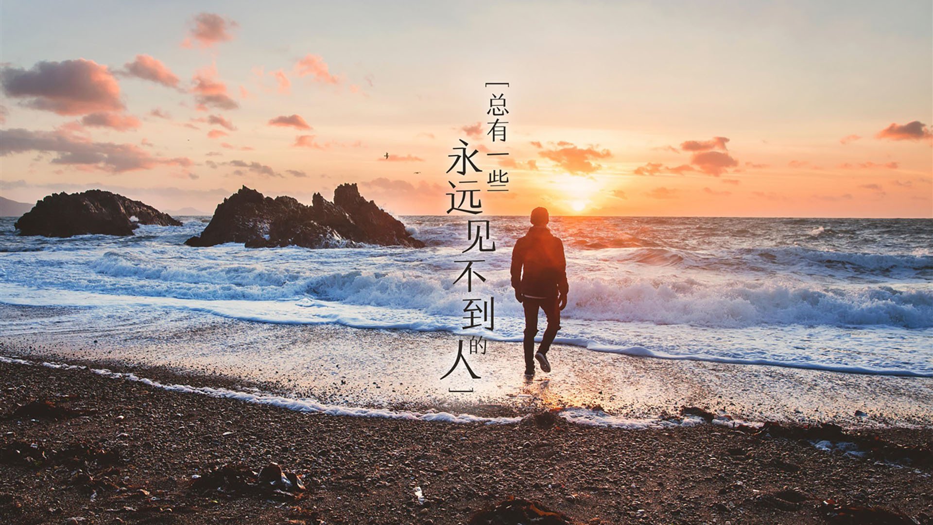 当战术图谱出现盲点，武切维奇如何成为火箭无法被读懂的无解之解