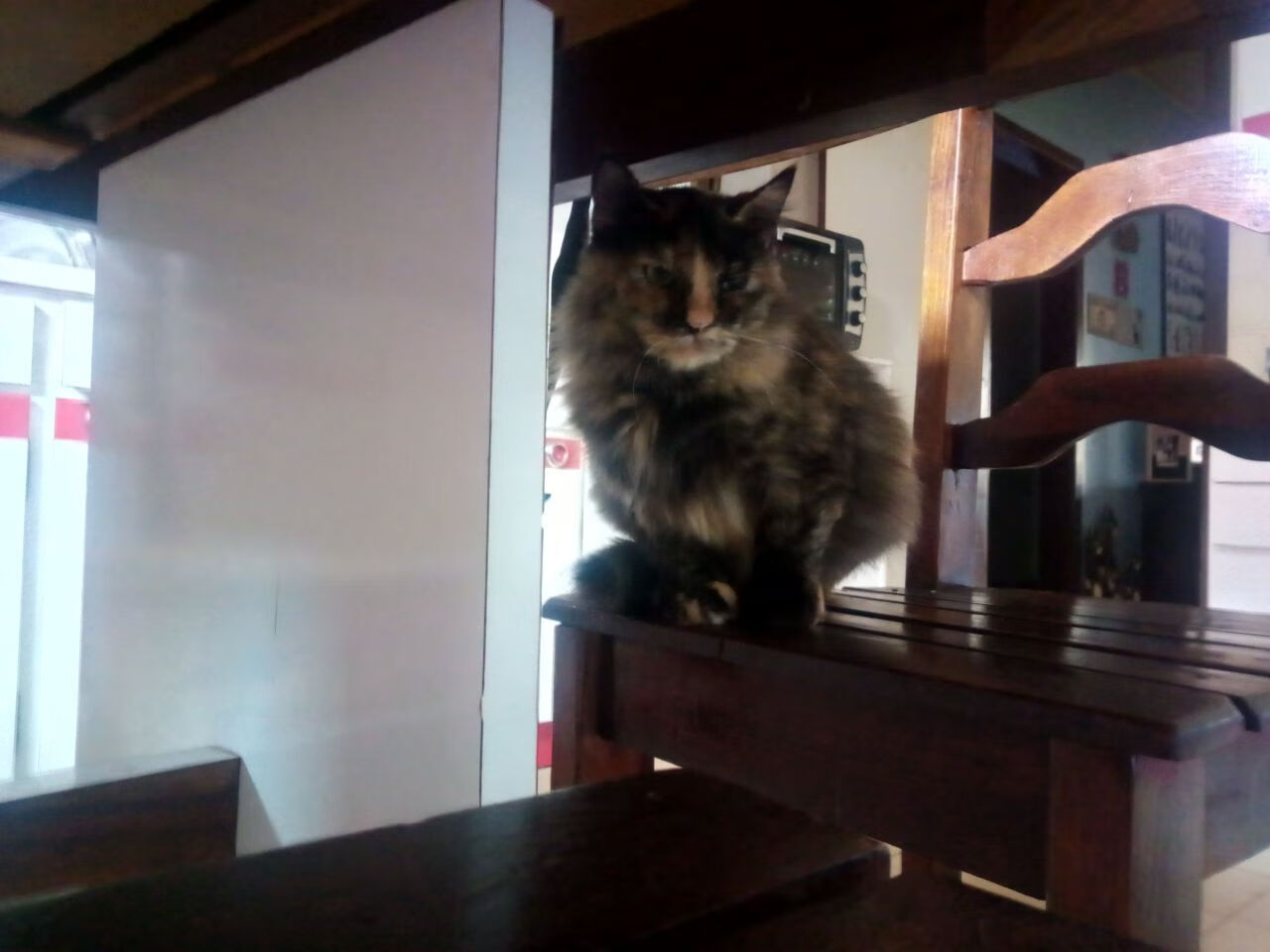 钢铁丛林，当独行侠的体系城墙遇上莫兰特的个人锁链