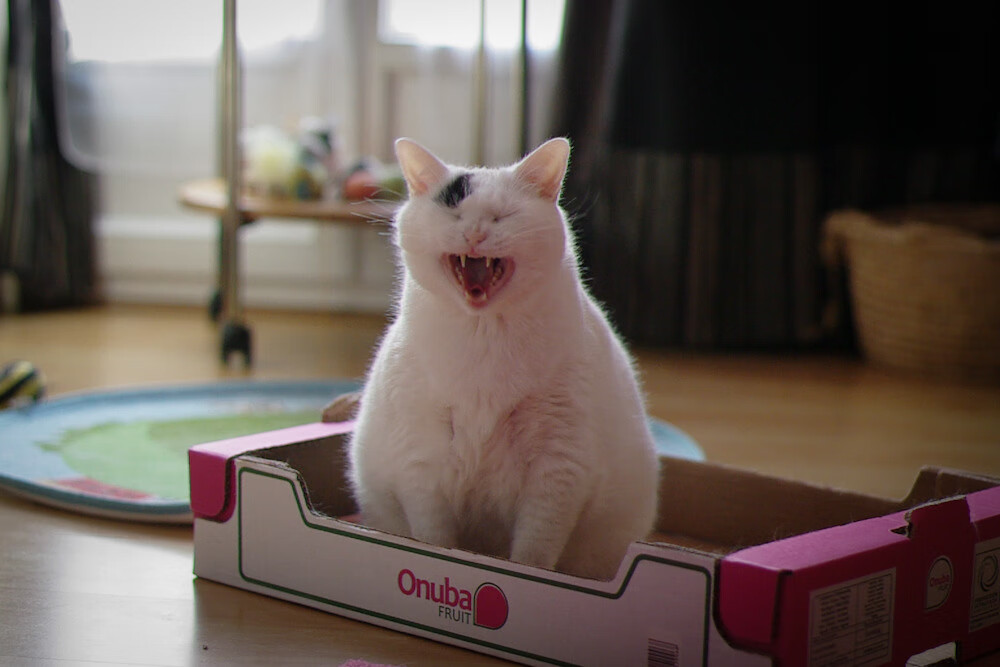 致命弯道，米切尔的唯一性夜晚