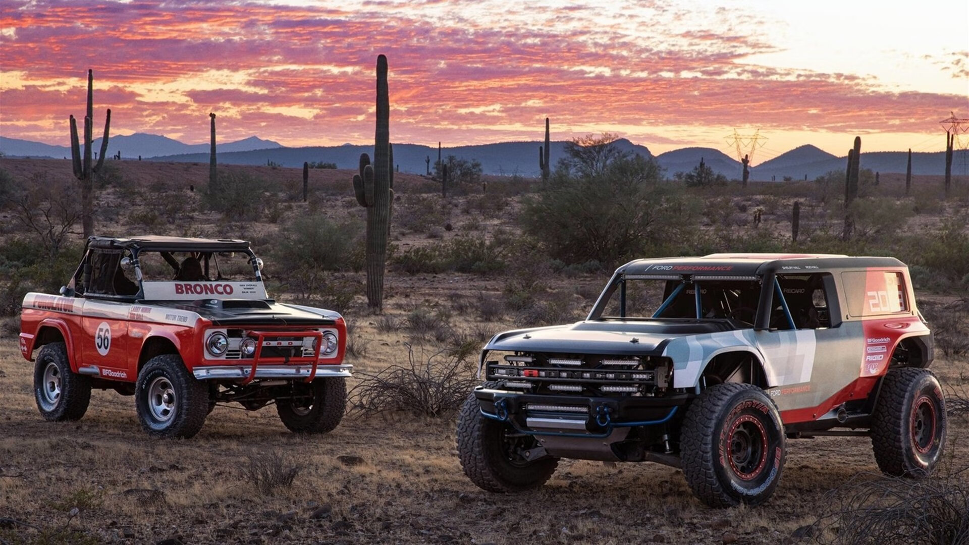 绝境重生！佛罗伦萨末节奇迹逆转加拿大，赖斯一锤定音封关键先生