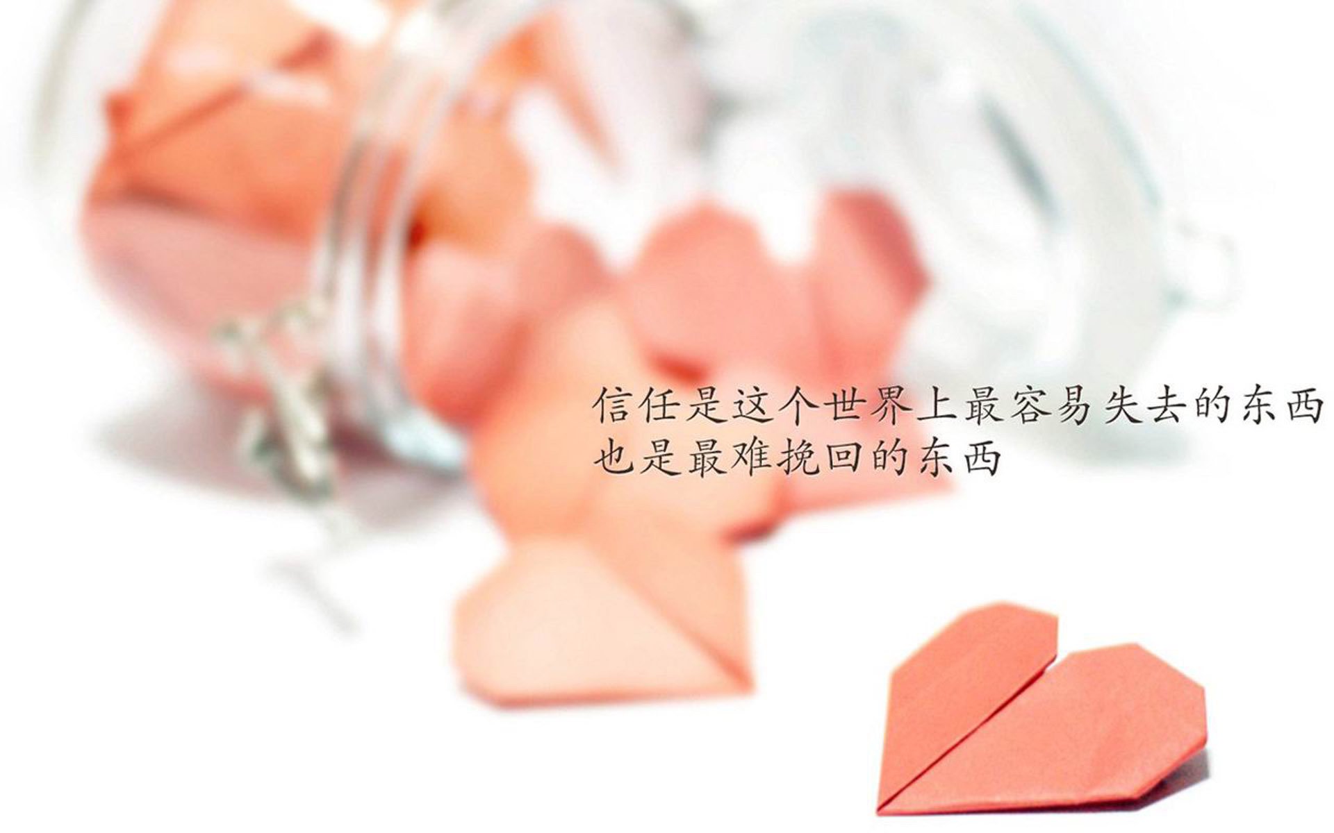 以下是为您构思的文章，先展开标题，再呈现内容