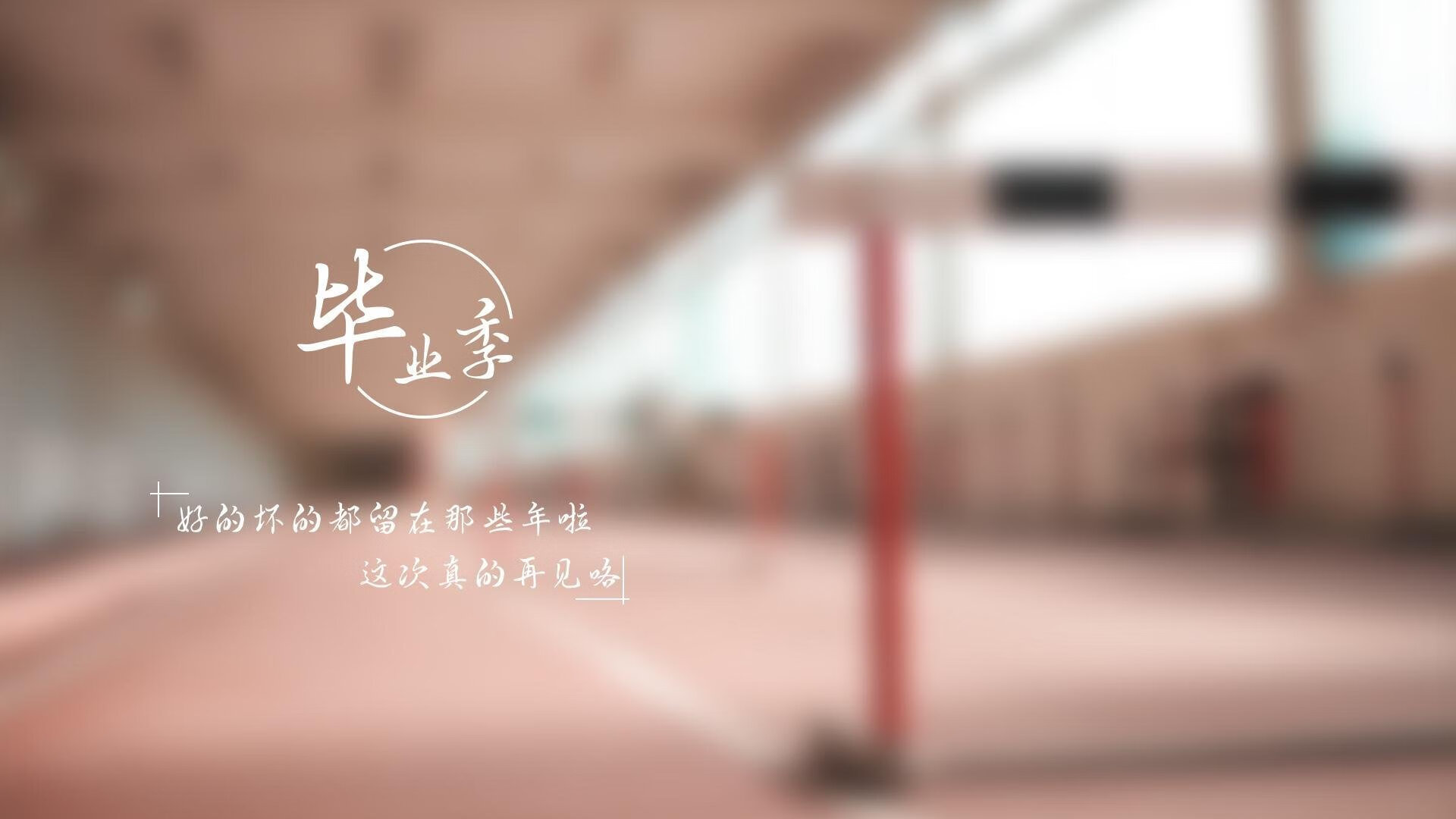 沙漠之狐与非洲雄鹰的巅峰对决,齐耶赫的魔幻左脚,如何在美加墨刻下世界杯唯一的记忆烙印