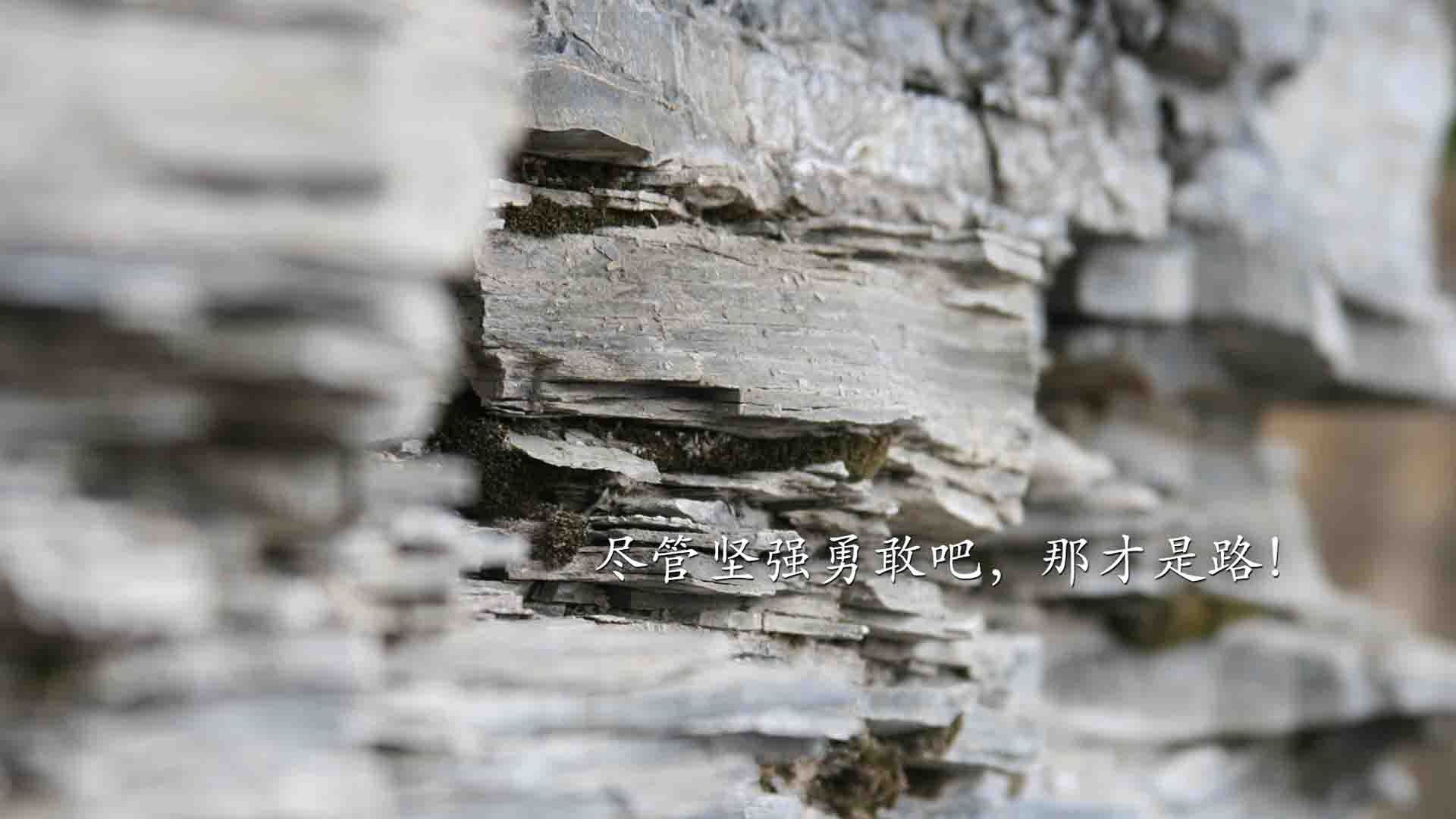 沙漠风暴席卷北欧神话,2026世界杯B组,一场唯一的颠覆与默契的凯歌