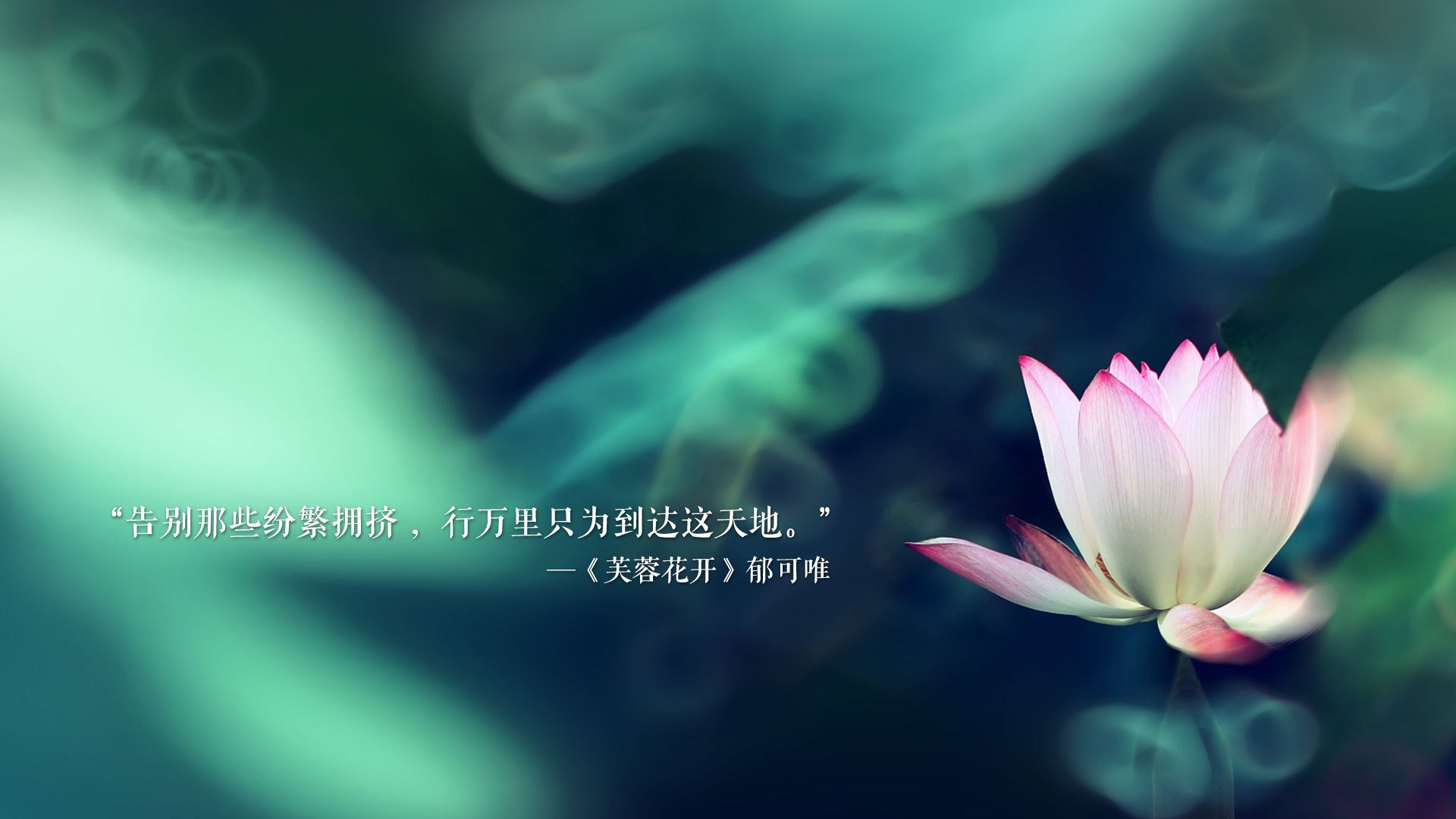 孤星与战车的碰撞,迪亚斯如何用一记不完美的进球,为澳大利亚书写2026世界杯的新物种宣言