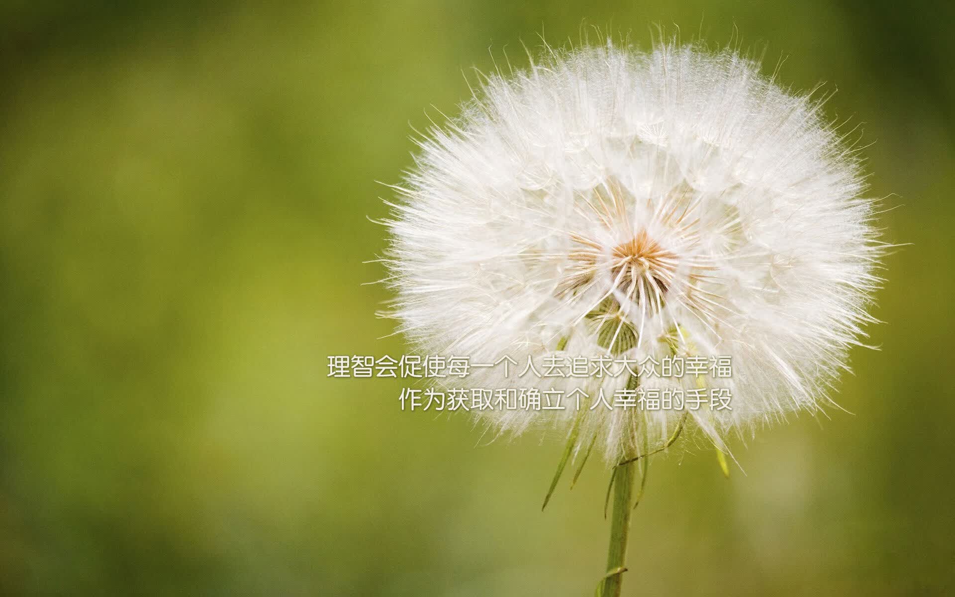 解锁冰与沙的公式,当阿诺德的长传成为唯一撕开乌兹别克斯坦铁幕的密钥